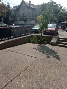 viber_image_2025-09-09_19-21-06-193