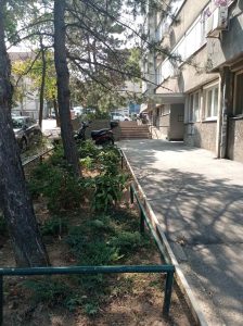 viber_image_2025-09-09_19-21-06-682