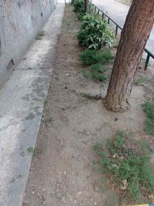 viber_image_2025-09-09_19-21-06-749