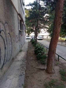 viber_image_2025-09-09_19-21-06-848